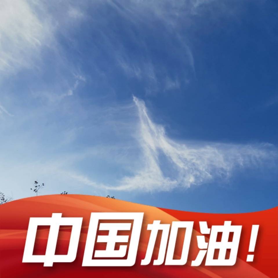 博主头像