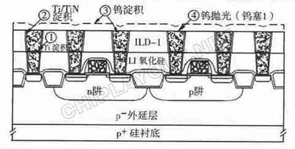 plug-1-formation