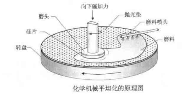 5-CMP源理