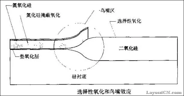 “鸟嘴效应”（bird’s beak）