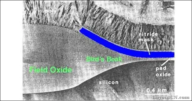 LOCOS 鸟嘴示意 2